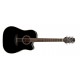 Takamine GD15 E/A Cutaway