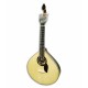 Artimusica GP73C