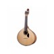 Artimusica GP70L