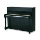 Samick JS 115 D