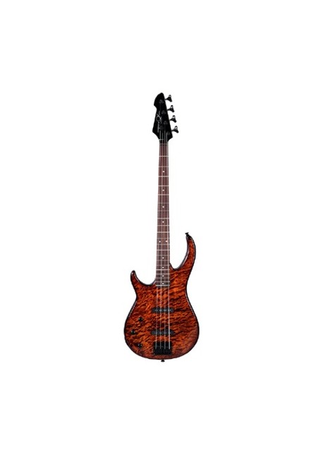 Peavey Millennium 4 BXP TE LH