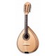 Artimusica BD40TC